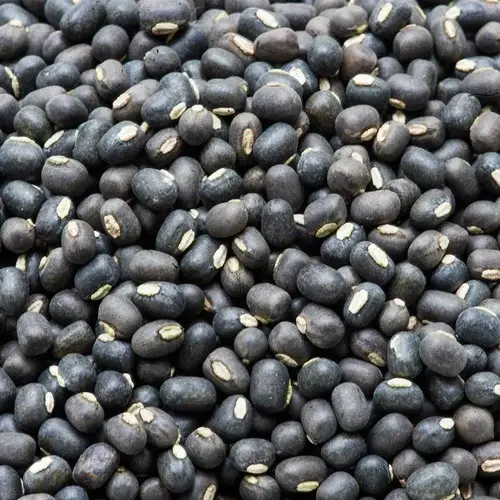 Black Beans